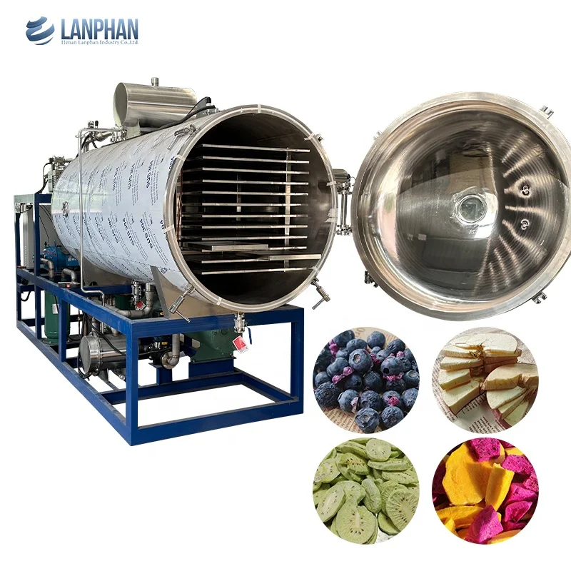 Industrial Vacuum Freeze Dryer Machine For Food Processing 100kg-200kg Batch