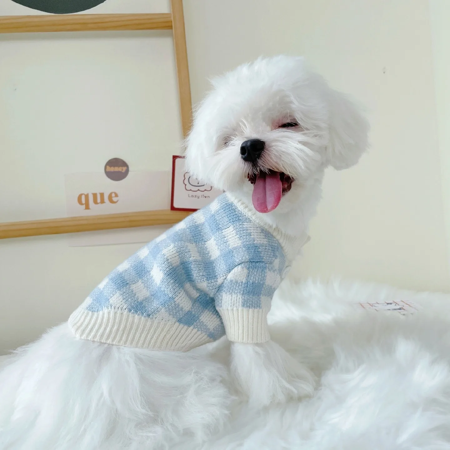 

Blue Plaid Teddy Sweater Pet Autumn and Winter Clothes Puppy Cardigan Poodle Fashion Knit Two Legs Dog Clothes