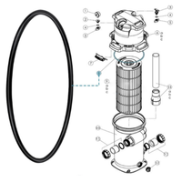 AT02-Filter Head O-Ring Compatible CXFHR1001 / RGX45G For Hayward Swimclear C100S/C150S/C200S Regenx RG450/RG700/ ASL C850