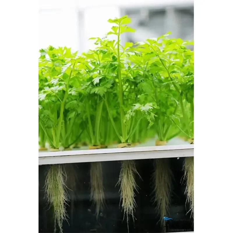 Vertical Hydroponic Tower Garden System Aviation Planting Kit Greenhouse Irrigation Equipment for Home Indoor Soilless