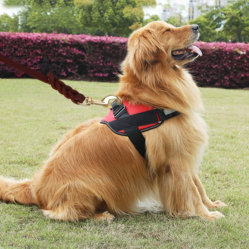 2M Long Leather Braided Pet Dog Walk Traction Collar Strap Training Leash Lead