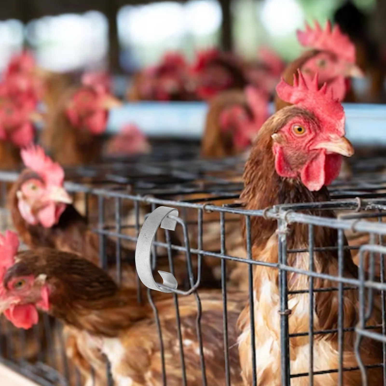 20Pcs Cage Door Hook Steel Wire Strong Load Bearing Hook for Poultry Pet Cage Multipurpose Space Utilization Household Storage