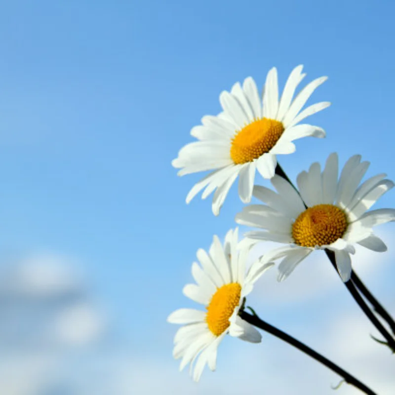 

MN82 LC79 Металлический багажник на крышу со светодиодной подсветкой 1/12 Обновление радиоуправляемого автомобиля Запчасти Аксессуары