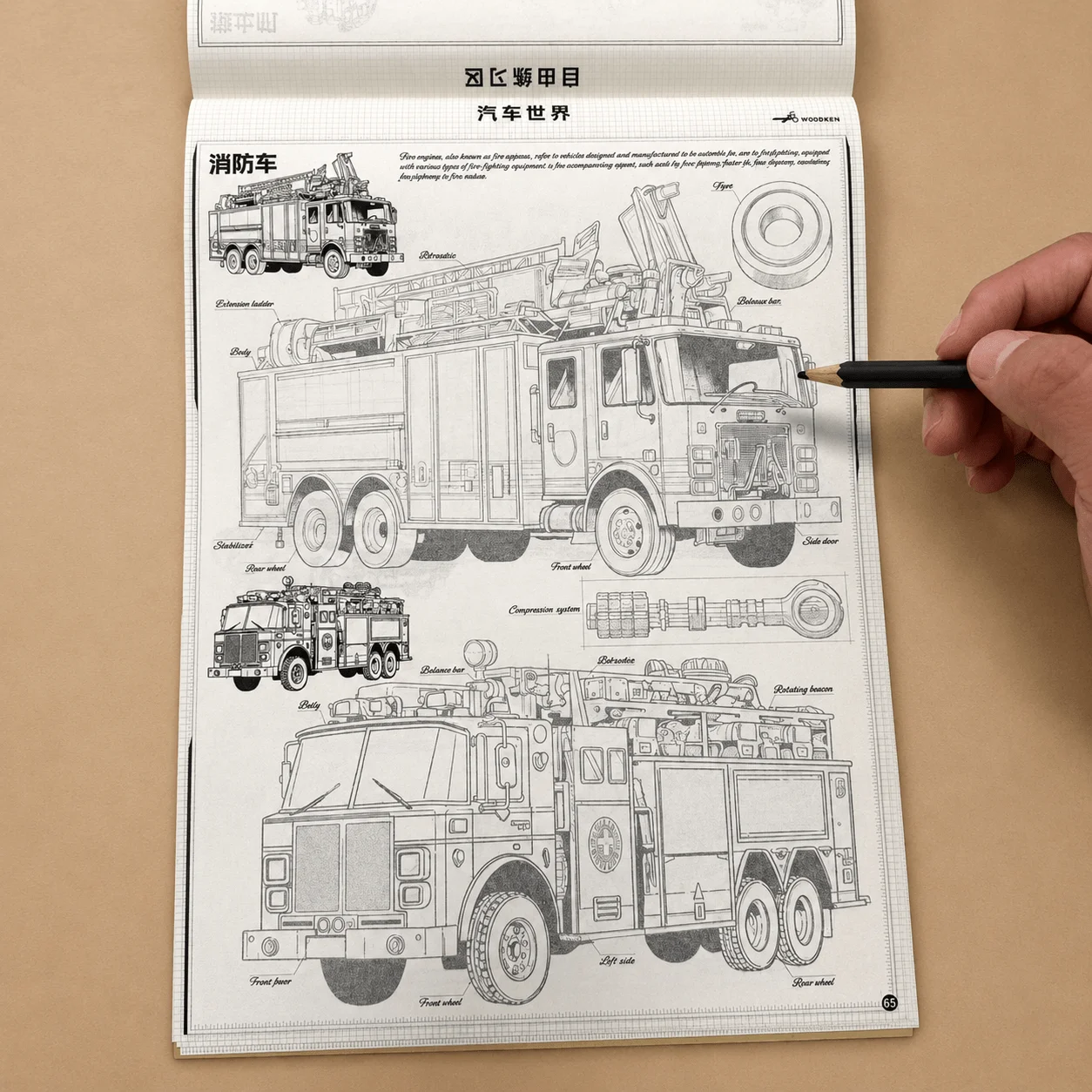 Kids Truck Coloring Book: Big Trucks, Cars & Driving Lights – Fun Activity for Boys & Girls