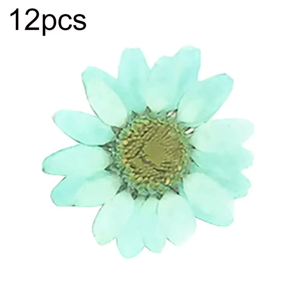 Natural Flower Epoxy Resin 12Pcs DIY Pressed Dried Nail Craft Phone Decoration