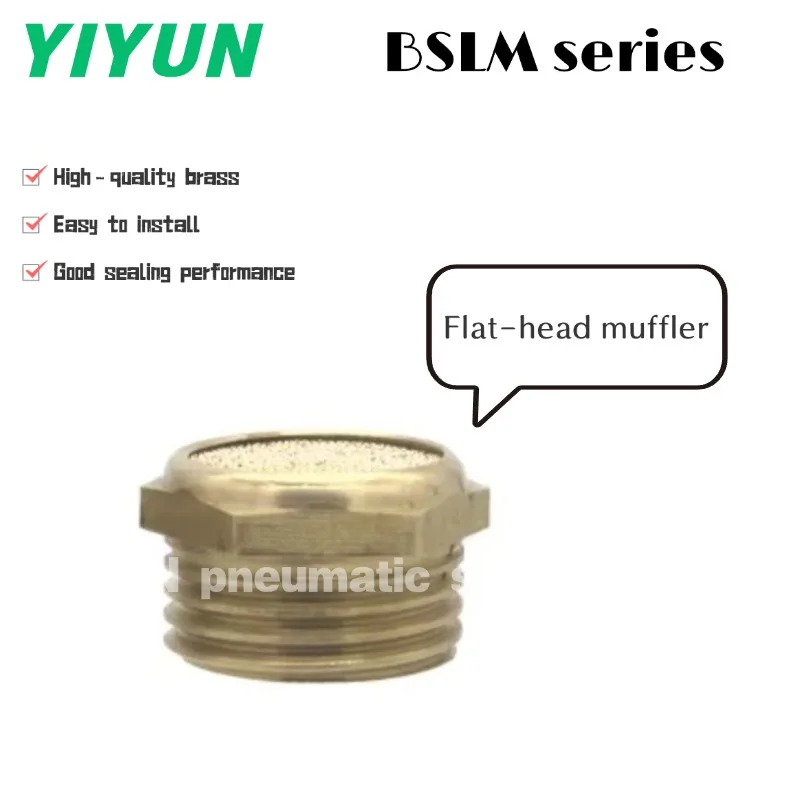 

BSLM-M5 BSLM-01 BSLM-02 BSLM-03 BSLM-04 BSLM-06 Half Copper, Full Copper Flat-Head Muffler BSLM Series