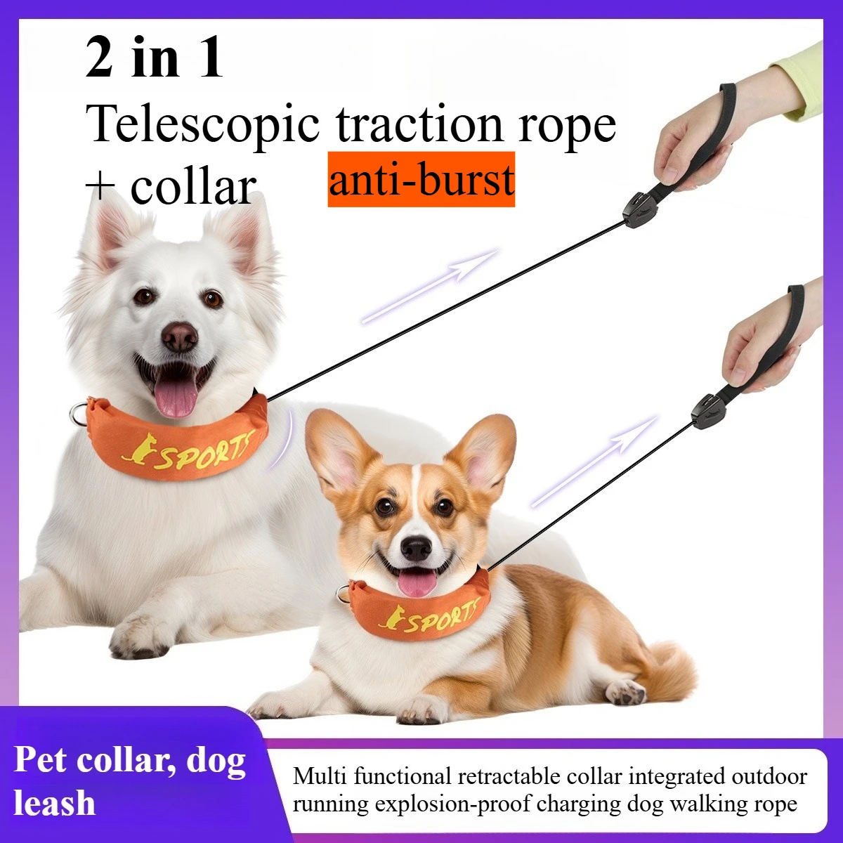 Pet Collar Dog Leash Multifunctional Retractable Integrated Outdoor Running Explosion-proof Charging with String in Dog Supplies