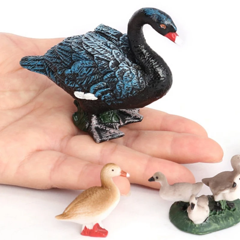 5 Sets Simulation Animals Life Growth Cycle Model,Poultry Statue Figures Toys Children Educational Cognitive Toys