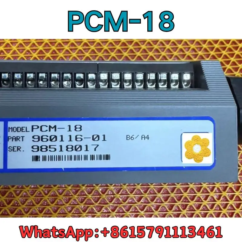 Gebrauchte Controller PCM-18 Test OK Schneller Versand