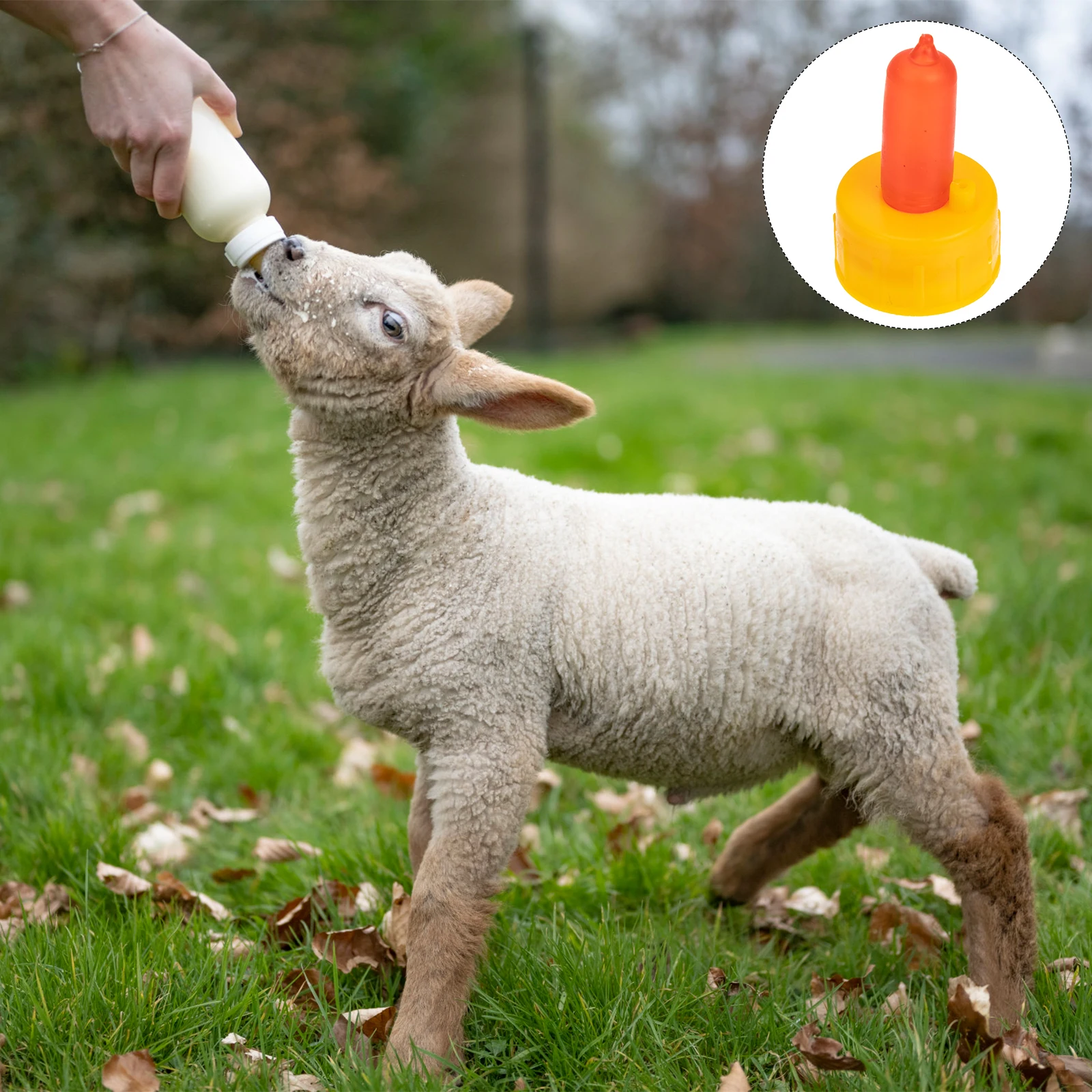 

Thickened Durable Livestock Cup Pacifier Holder Farm Lamb Feeding Tool Replacement Sheep Nipple Silicone Milk Feeder Farm Supply