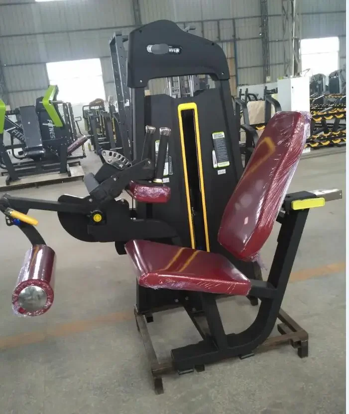 Fitness Body Building Machine Commercial Seated Leg Extension Curl Gym Equipment Support OEM