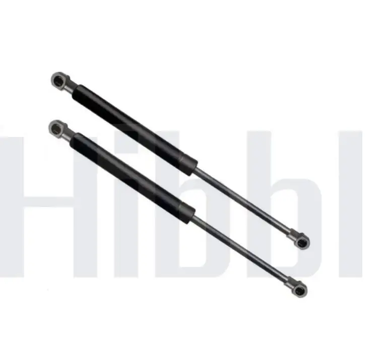 

HIBBL Rear Tailgate Lift 51248232873 Support Gas Shocks Strut for BMW 3 318i 320i 325i E46 316i
