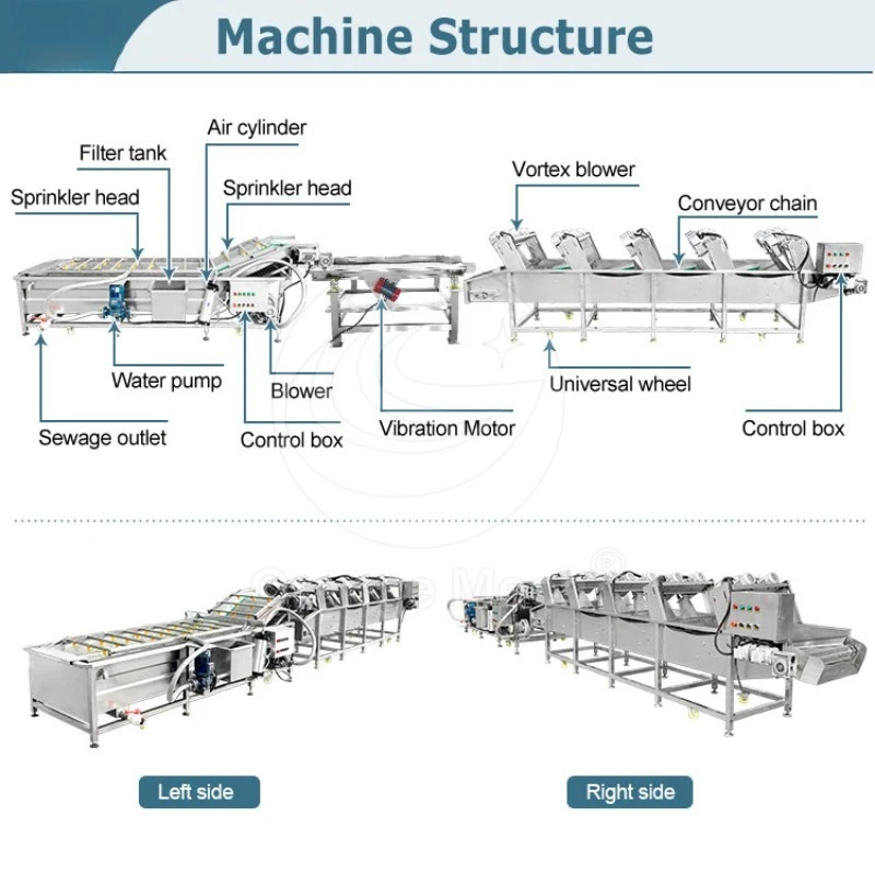 Sweet Potato Lettuce Clean Sort Package Equipment Fruit and Vegetable Wash and Drying Machine for Date
