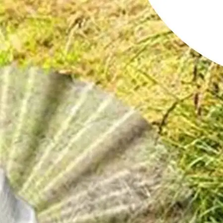 20 Pcs For Bo for sch F016800431&F016F04841 Replacement Trimmer LineGrass Trimmer Cutting Wire Brush Cutter for Lawn Mower Lines