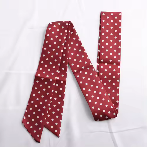 Fashion Dot Ribbon Silk Scarf Women Thin Neck Scarves Lady Small Shawls Bandana Narrow Female Neckerchief Dress Accessories - Image 18