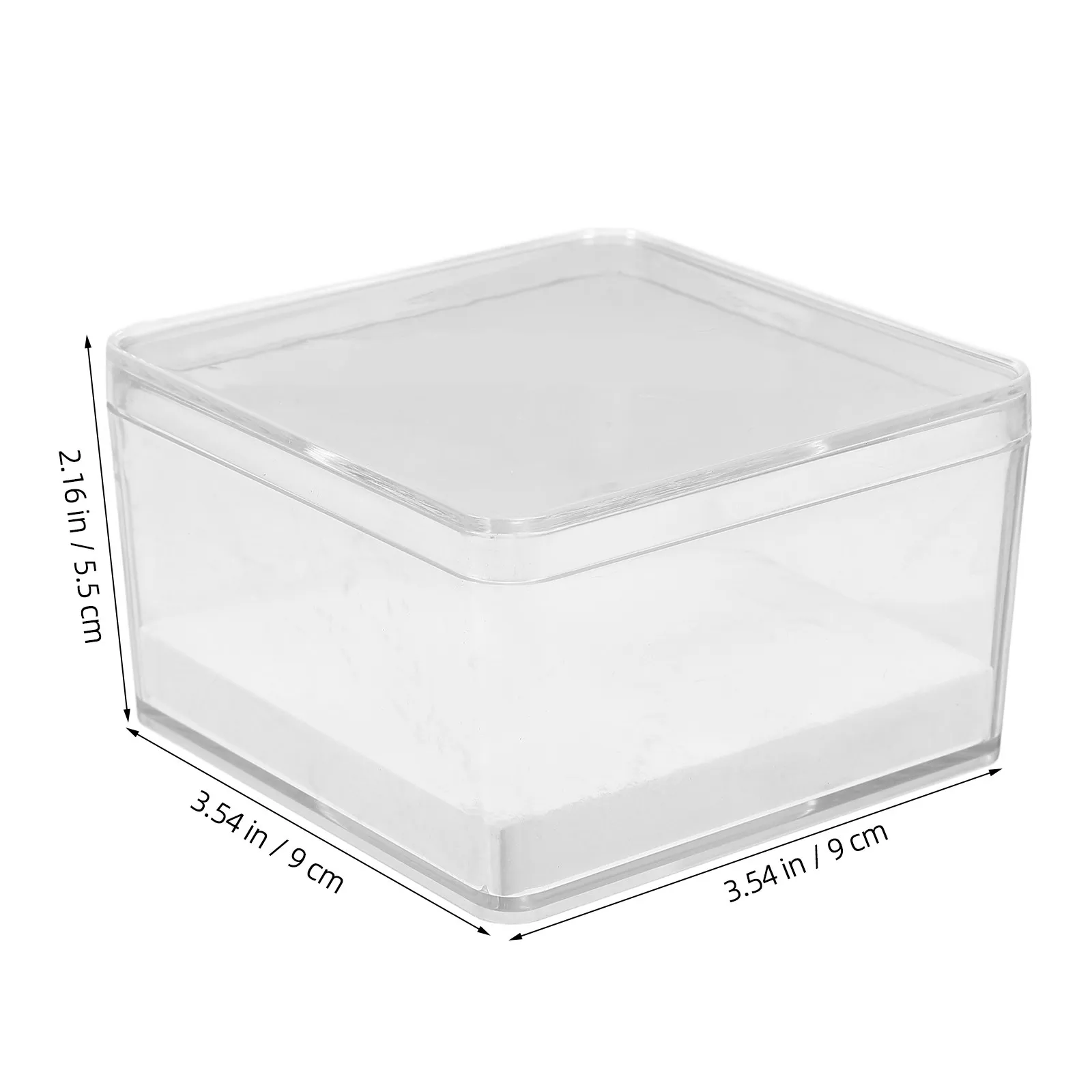 1Set Transparent Mini Insect Display Box Clear Specimen Protection Case for Entomology Study Secure Specimen Storage Microscope