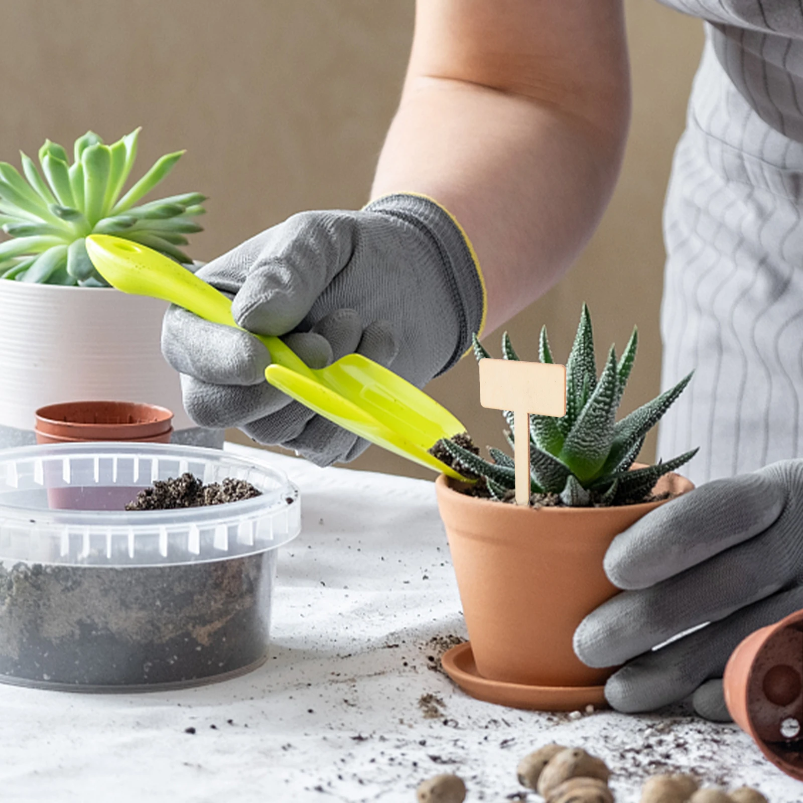 

20 шт. деревянные этикетки с растениями для суккулентов, цветов, садовые маркеры, знаки, экологически чистые аксессуары для садоводства, уличные инструменты