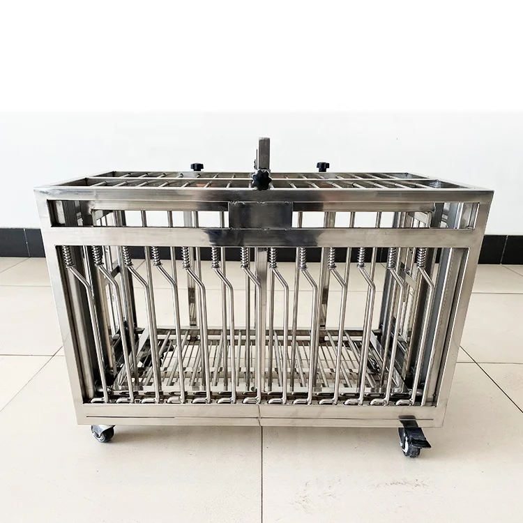 Veterinary Hospital Stainless Steel Luxury Small Animal Injection Carrier Cage with Button Closure Box Packaging