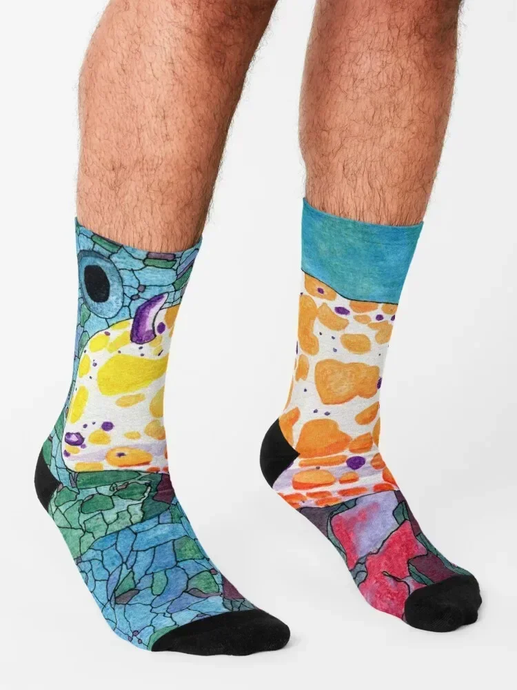 Ensemble de chaussettes chauffantes Rudie Nudibranch, chaussettes chauffantes pour garçons et enfants, chaussettes pour femmes