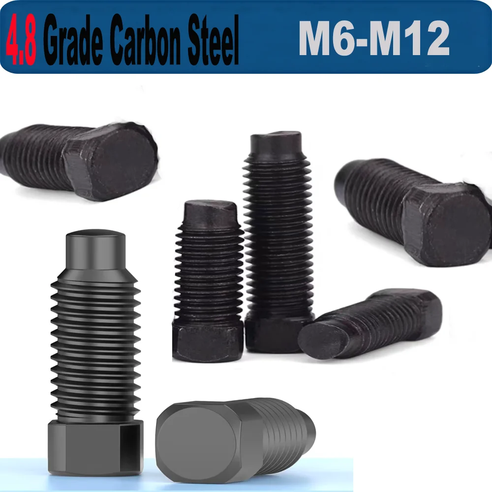 

M6 M8 M10 M12 4.8 Grade Carbon Steel Black Square Head Flat Tail Knife Holder Set Screw