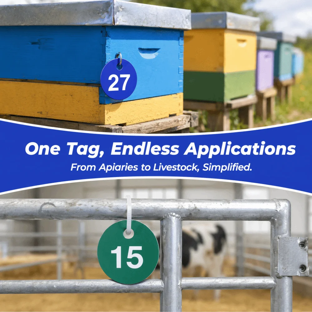 50Pcs Blue/Green/Red Numbered Label Tags ABS Small Holes Livestock Tags Numbers 1-50 Durable Beekeeping Tags Animal Husbandry