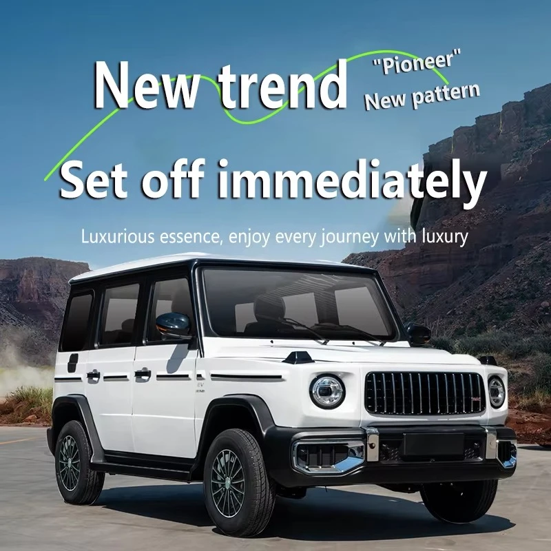 New energy electric vehicle adult use long range
