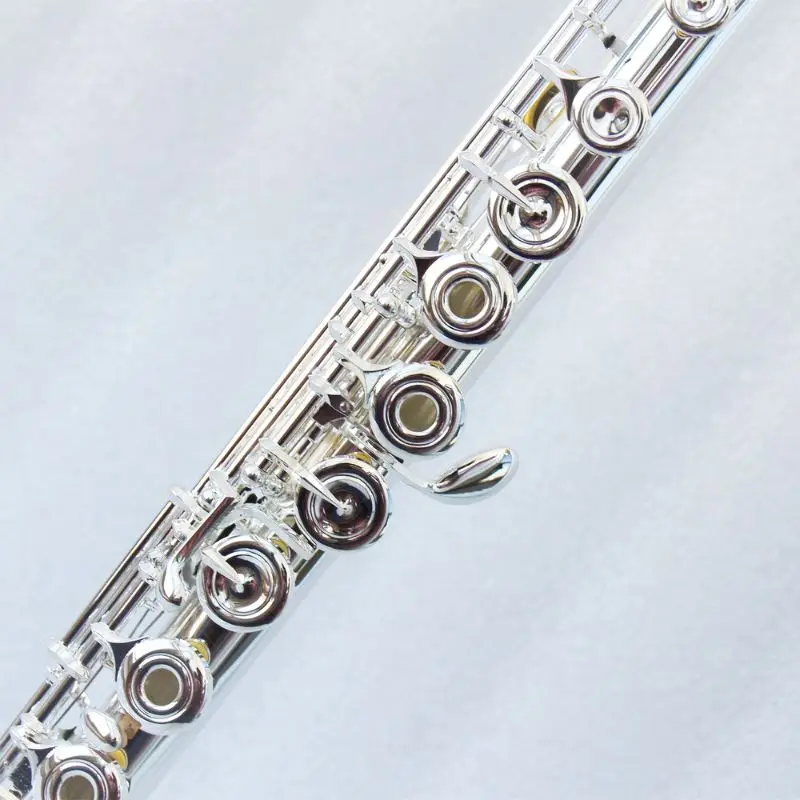 

Accept OEM Flute Silver Plated 16 Holes C Key Woodwind Instrument Flute Closed Hole Transversal Flauta For Performance Set