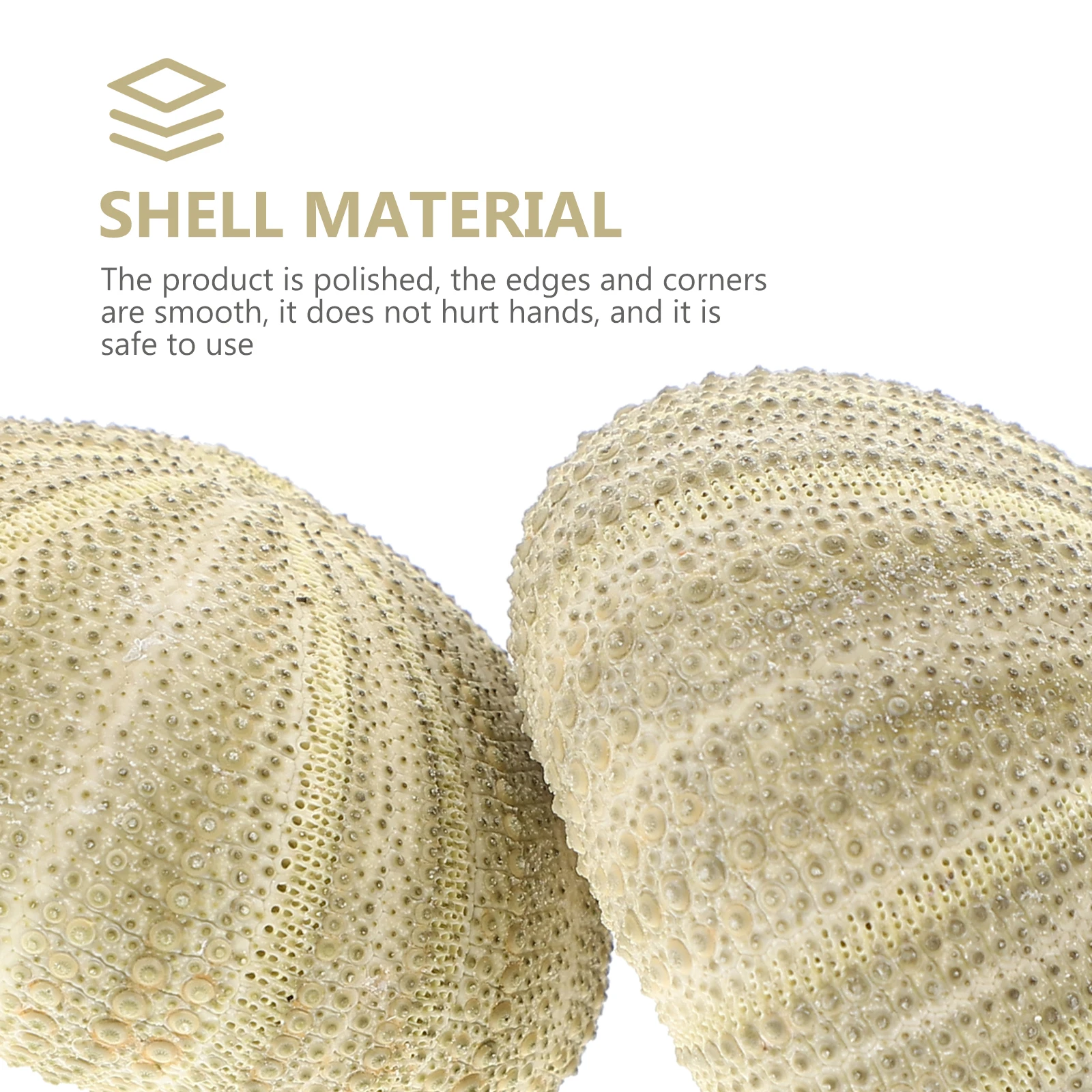 

18 Pcs Sea Shell Micro Landscaping Adornment Fish Tank Decoration Adornments Beach Decor Decorate Crafts Making Urchin Shells