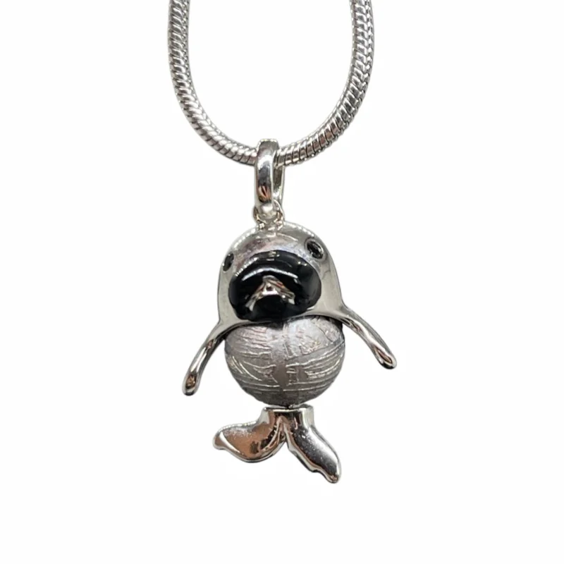 6.2g Muonionalusta Meteorite Pendant Natural Iron Meteorite Pendant Supports Customized Collectibles - LK304