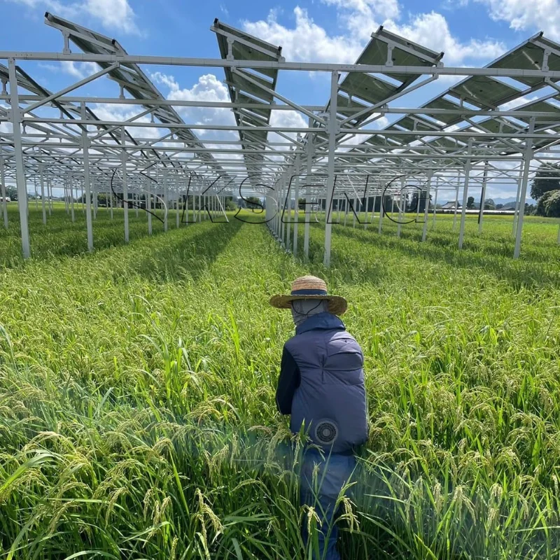 500KW Solar Farm Customized Solution Ground Mount Solar Power Plant Farm Mounting Solar System for Enhanced Stability