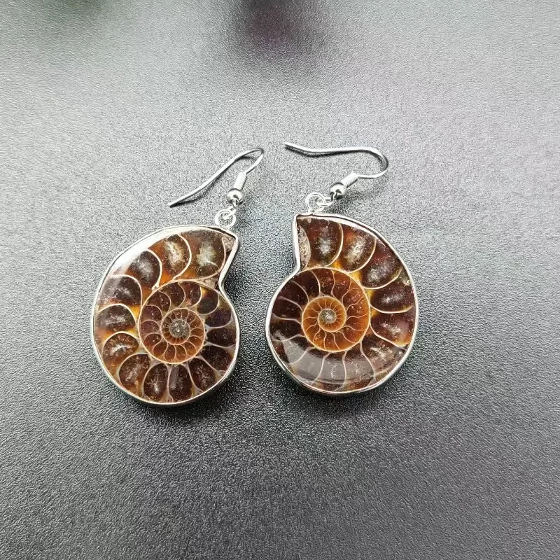 5pairs Natural Ammonite Snail Conch Shell Healing Stone Fashion Dangle Hook Earrings For Women Jewelry