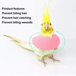 Adjustable Parrot Recovery Collar Anti Biting Injury Fastener Tape Fixing Bird Elizabeth Collar Pet Pecking For Bird