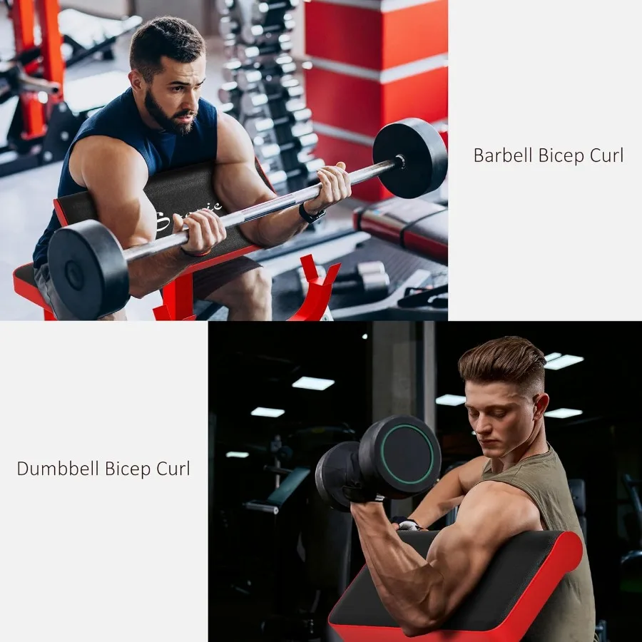 Adjustable Preacher Curl Bench with Brabell Rack for Strength Training: Seated Arm Isolated Barbell and Dumbbell Bicep Station