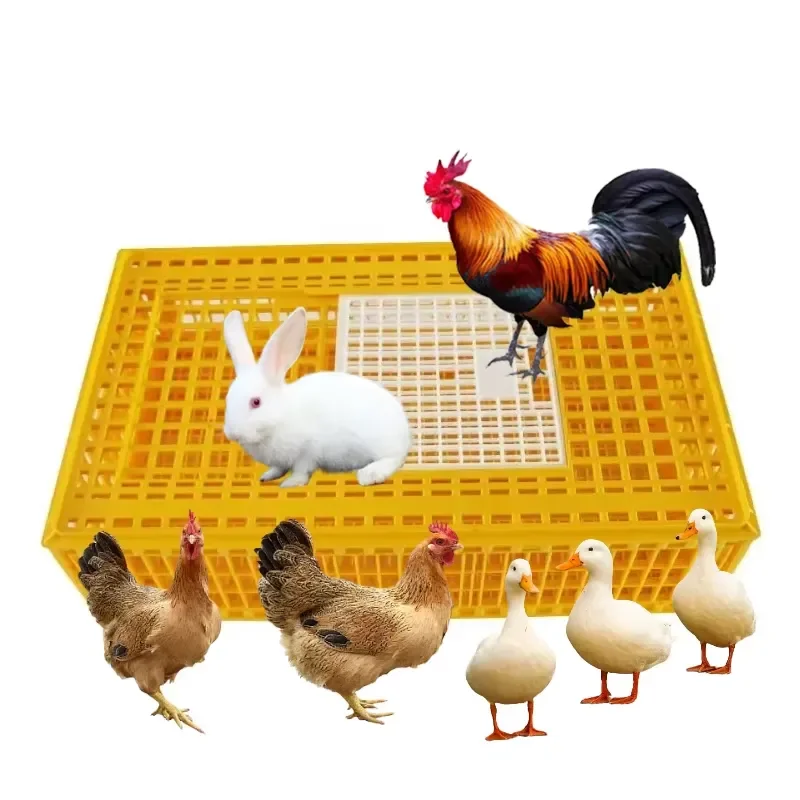 Top Sale New Cardboard Shipping Boxes for Chicks and Chickens Fighting Cock Transport Packaging
