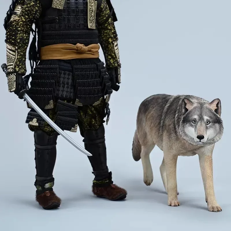 JXK 1/6 Maßstab Simuliertes Tier-Harzmodell Fierce Grassland Wolf für 12-Zoll-Actionfiguren Körper-Szenen-Zubehör auf Lager