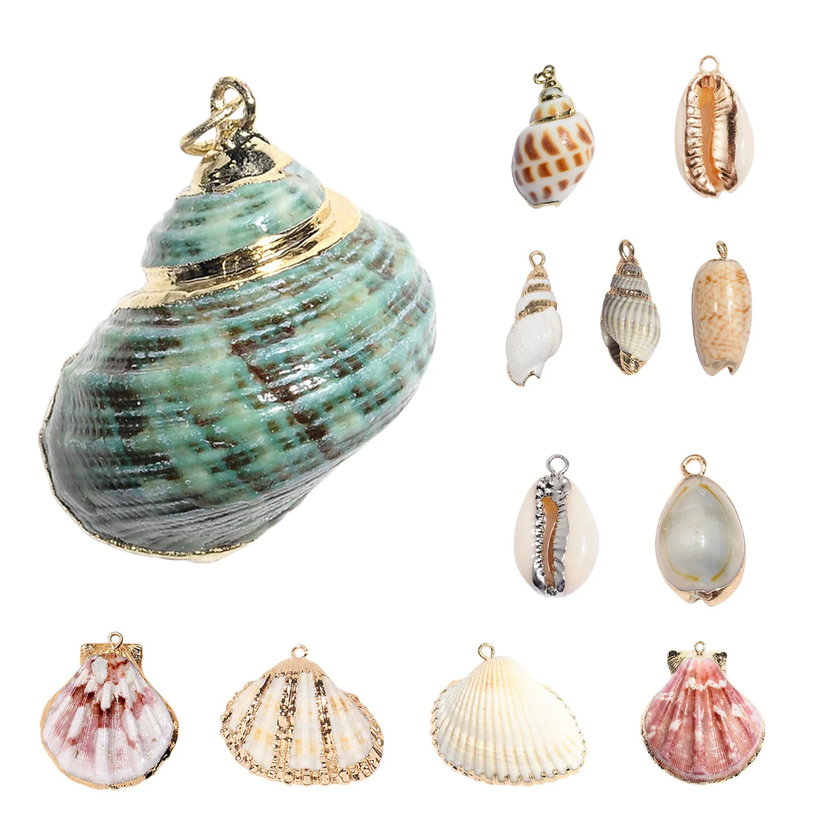 

12 Pcs Pendant Accessories Sea Shells Necklace Parts Jewelry Craft for Crafting Making