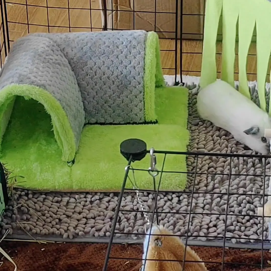 سرير نفق مخبأ خنزير غينيا الدافئ، أنفاق وأنابيب خنزير غينيا الناعمة القابلة للإزالة للقفص، خنزير غينيا يخفي الصوف للفئران، قوي #4