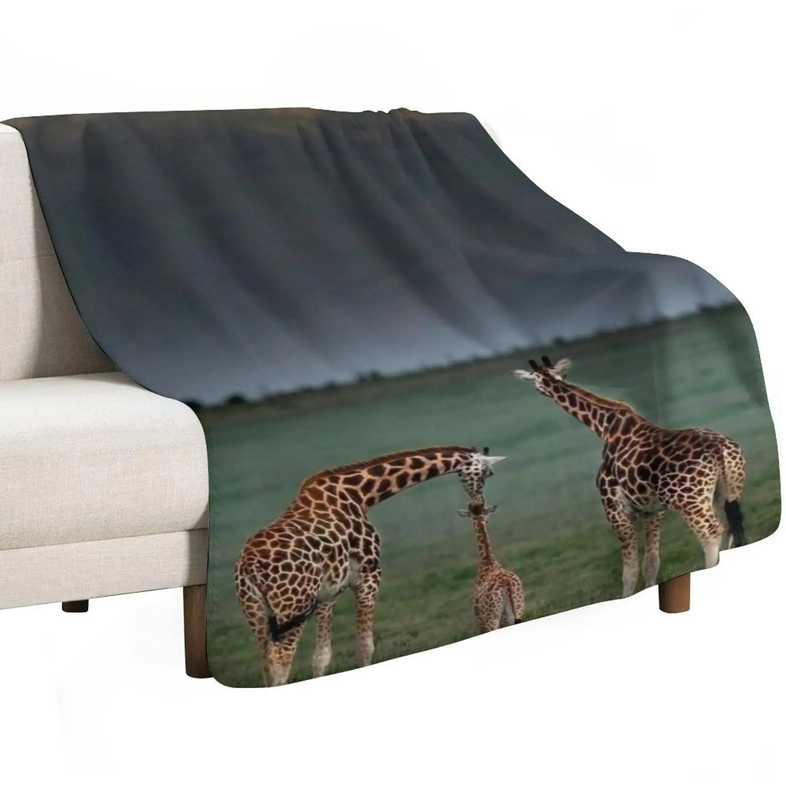 Giraffe Family Pilansberg National Park Throw Blanket Lightweight Warm Blanket for Travel Camping