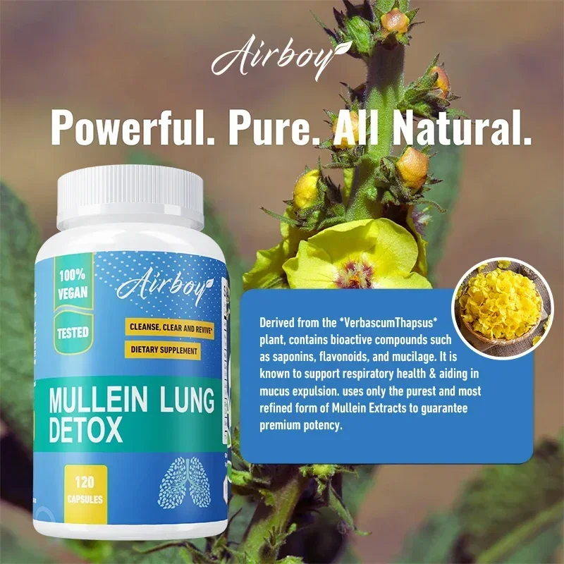 

Mullein Lung Detox Capsules - Promotes Lung Health and Easier Breathing, Bronchial Cleansing, Immune SupportCapsules