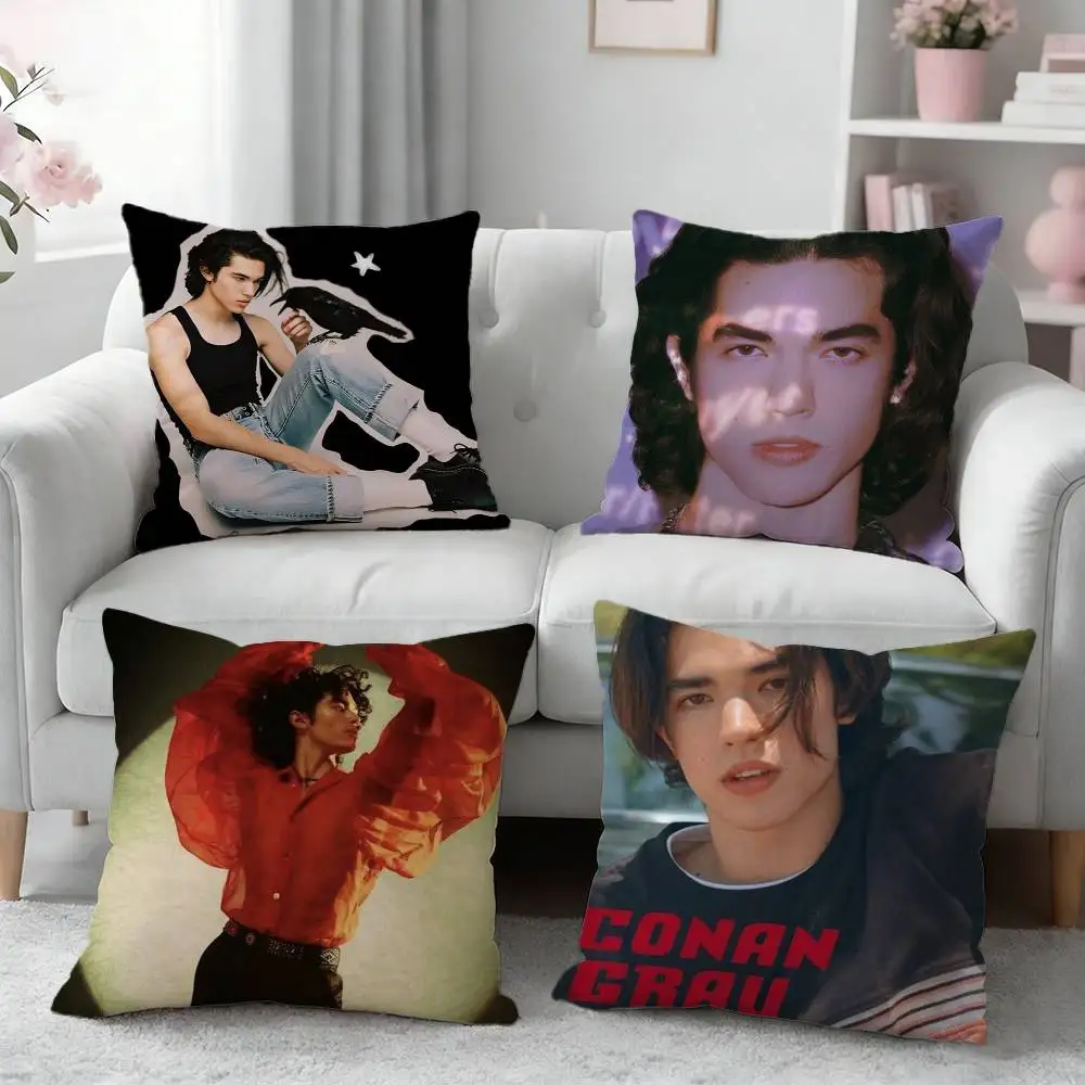 C-Conan Gray Wishbone Pillow Case Pattern Printed Pillowcase For Living Room Sofa Cushion Cover