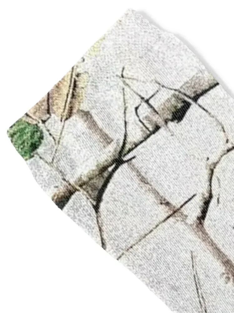 White snow winter camo tree branches leaves Socks Wholesale designer kawaii custom Socks Male Women's