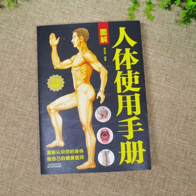 

Illustrated Manual of Human Body: Meridians and Acupoints, Prevention and Treatment of Common Diseases
