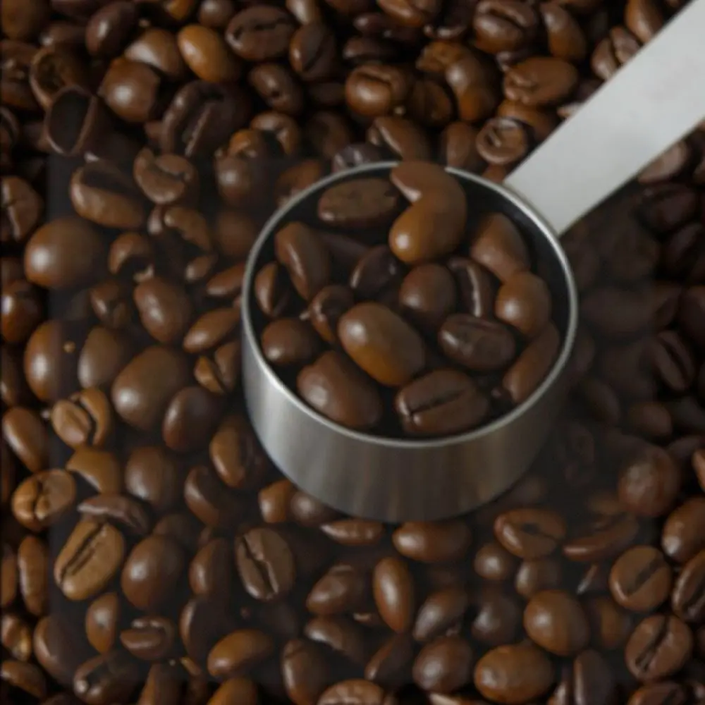 Stainless Steel Coffee Storage Jar Airtight Container With Release Valve Clear View Window For Espresso Bean Keeper