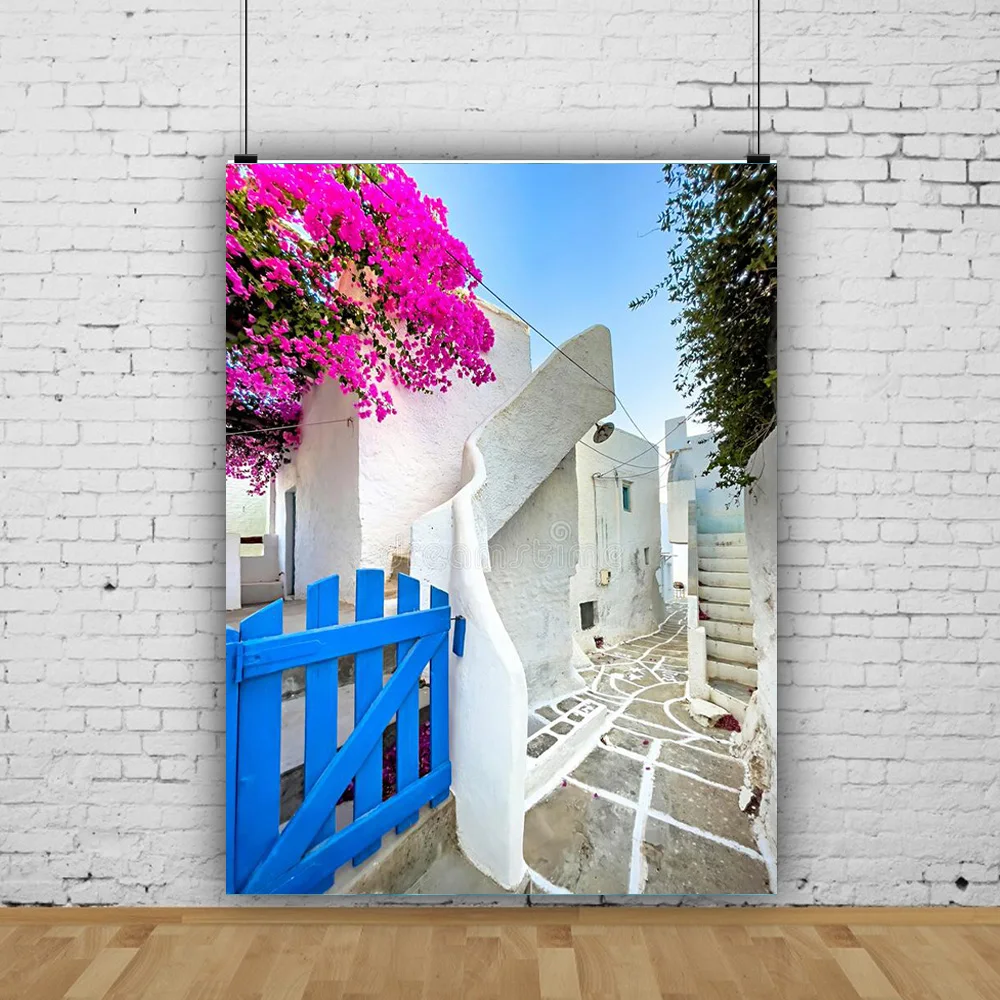 Fotos de estilo europeo para recién nacidos y mascotas, accesorios de fondo de fotografía Retro, paisaje costero, calle, boda, JDH-02