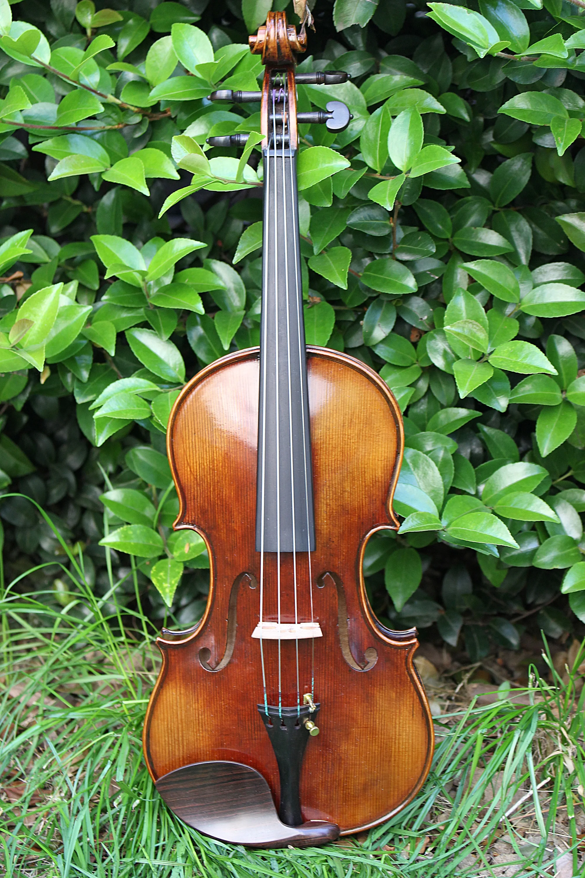 TONGLING Professional Top Master Violin 4/4 Size Handmade Oil Varnish & 20 Years Old European Spruce  Antique Violin