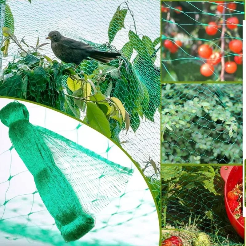 Plantation bird net, fish pond wild duck and bird fence protection net, harmful bird trap net, breeding farm protection net