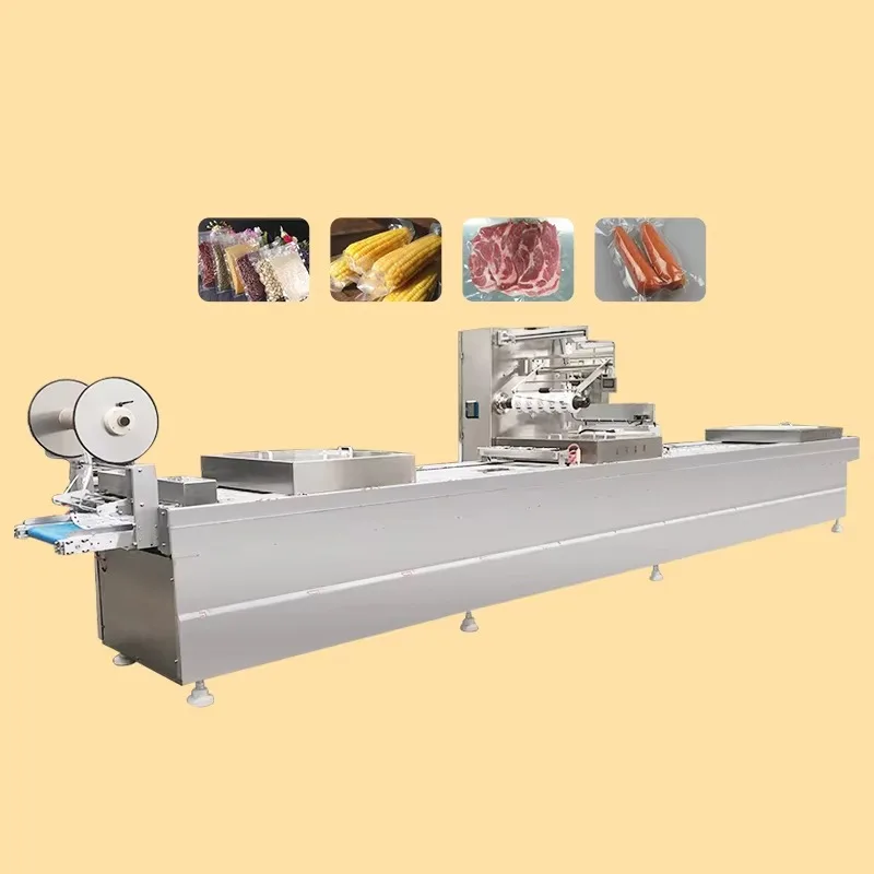 customized Commercial Automatic Thermoforming Vacuum Packing Machine for Meat Cheese Fish Trays Stainless Steel Electric