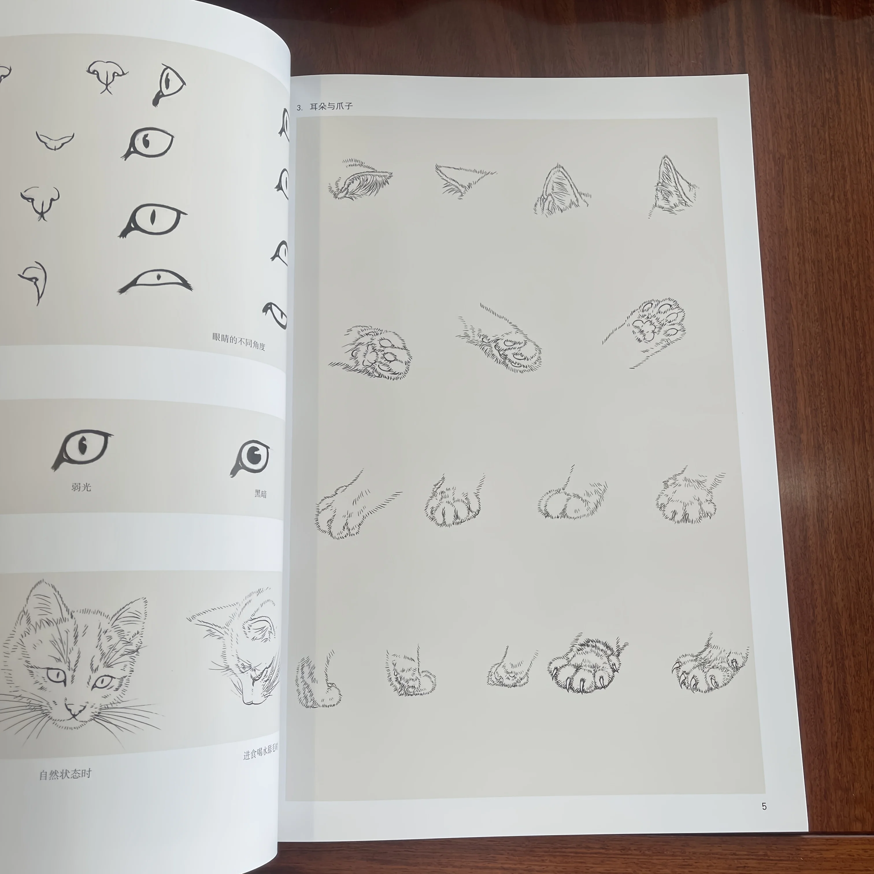 Gongbi Cat Painting Techniques: Realistic Fur Texture & Eye Details Masterclass