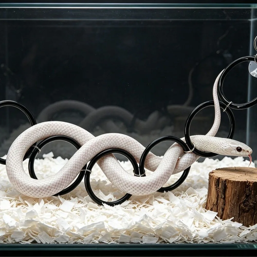 New Plastic Snake Climbing Easy Install Hanging Reptile Swing 4/6/8 Ring Versatile Reptile Enrichment Decor Pet Supplies