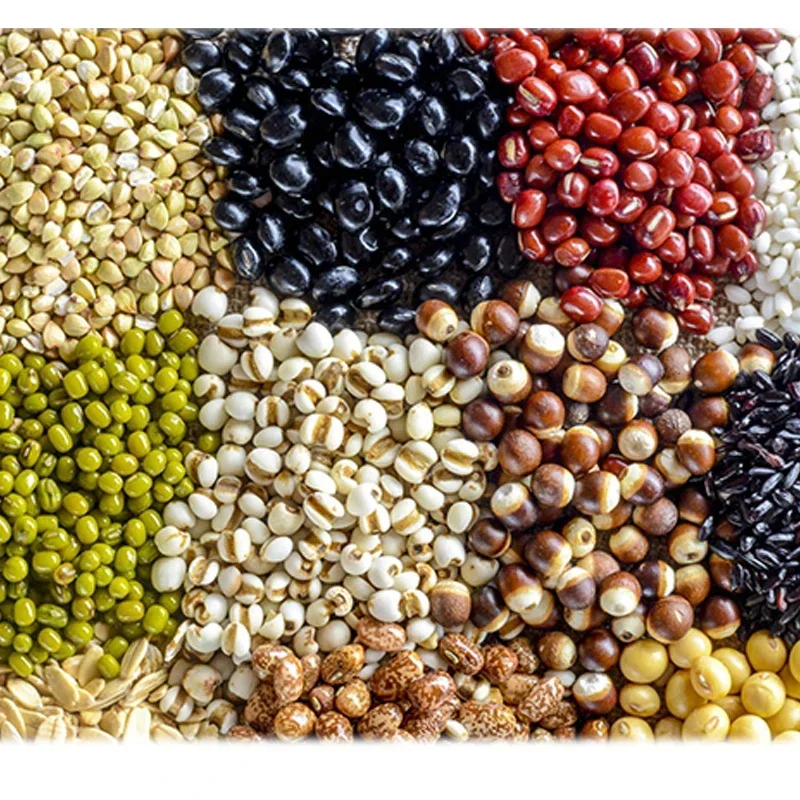 Small New Brand-new Hand Propelled Multi-function Vegetable Planter Small Parsley Precision Planter Cabbage Spinach Celery Radis